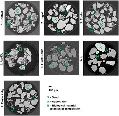 Testing Contrast Agents to Improve Micro Computerized Tomography (μCT) for Spatial Location of Organic Matter and Biological Material in Soil